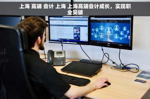 上海 高端 会计 上海 上海高端会计成长，实现职业突破