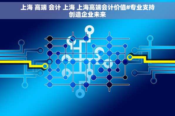 上海 高端 会计 上海 上海高端会计价值#专业支持创造企业未来