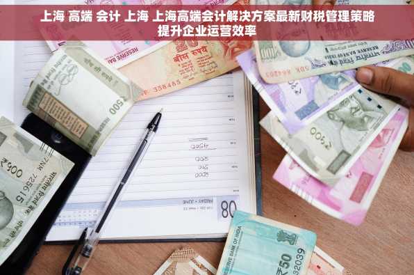 上海 高端 会计 上海 上海高端会计解决方案最新财税管理策略提升企业运营效率