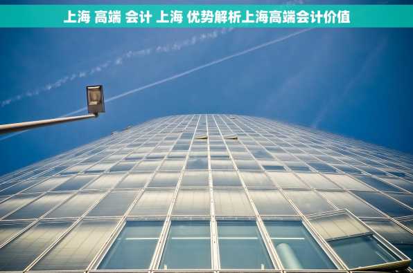 上海 高端 会计 上海 优势解析上海高端会计价值