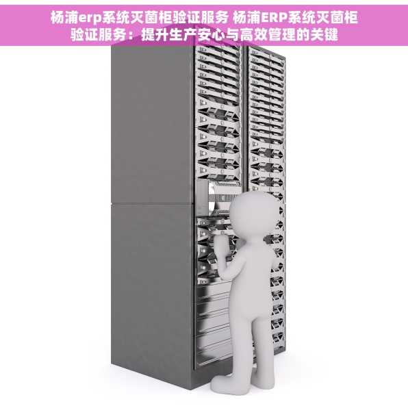 杨浦erp系统灭菌柜验证服务 杨浦ERP系统灭菌柜验证服务：提升生产安心与高效管理的关键