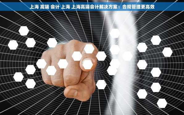 上海 高端 会计 上海 上海高端会计解决方案：合规管理更高效