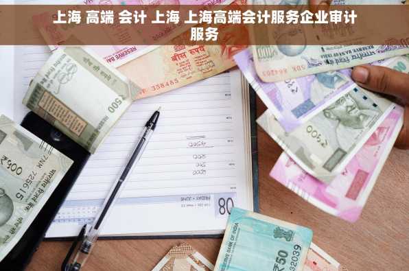 上海 高端 会计 上海 上海高端会计服务企业审计服务