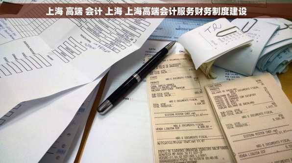 上海 高端 会计 上海 上海高端会计服务财务制度建设