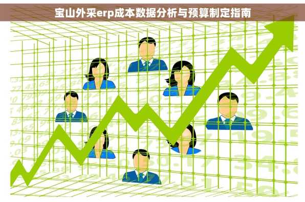 宝山外采erp成本数据分析与预算制定指南