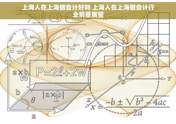 上海人在上海做会计好吗 上海人在上海做会计行业前景展望