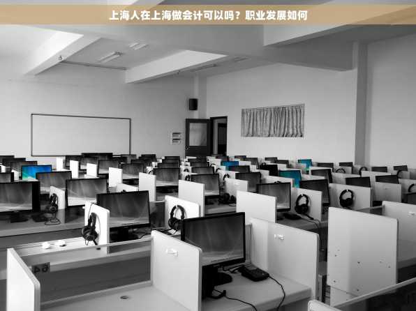 上海人在上海做会计可以吗？职业发展如何