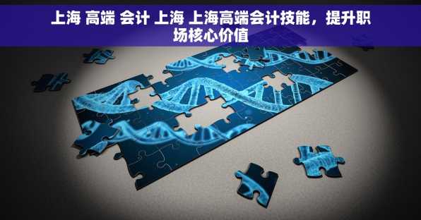 上海 高端 会计 上海 上海高端会计技能，提升职场核心价值