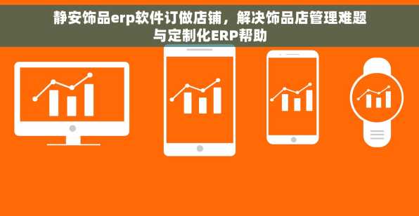 静安饰品erp软件订做店铺，解决饰品店管理难题与定制化ERP帮助