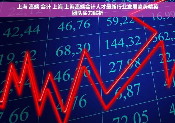 上海 高端 会计 上海 上海高端会计人才最新行业发展趋势精英团队实力解析