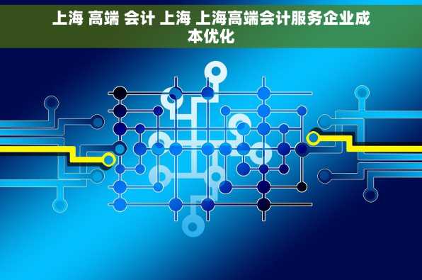 上海 高端 会计 上海 上海高端会计服务企业成本优化