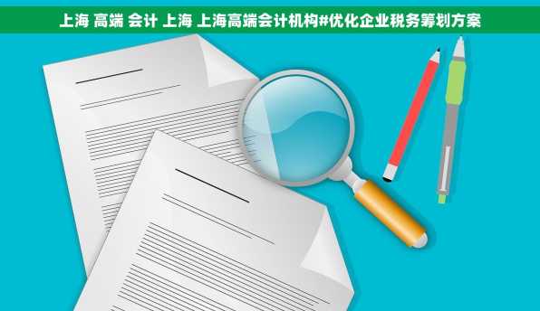 上海 高端 会计 上海 上海高端会计机构#优化企业税务筹划方案