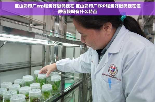 宝山彩印厂erp服务好做吗现在 宝山彩印厂ERP服务好做吗现在值得信赖吗有什么特点