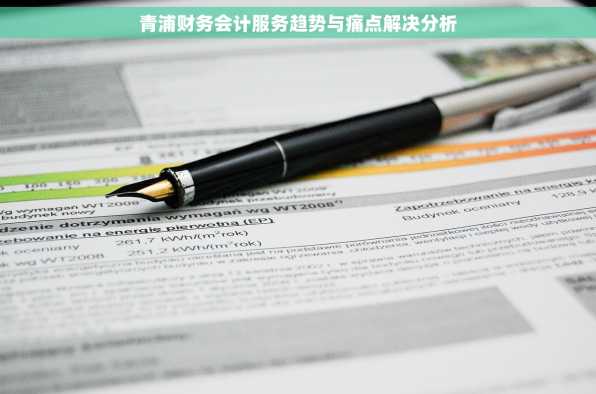 青浦财务会计服务趋势与痛点解决分析