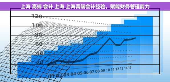上海 高端 会计 上海 上海高端会计经验，赋能财务管理能力