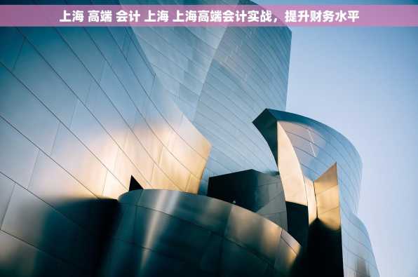 上海 高端 会计 上海 上海高端会计实战，提升财务水平