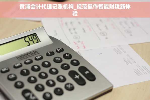 黄浦会计代理记账机构_规范操作智能财税新体验