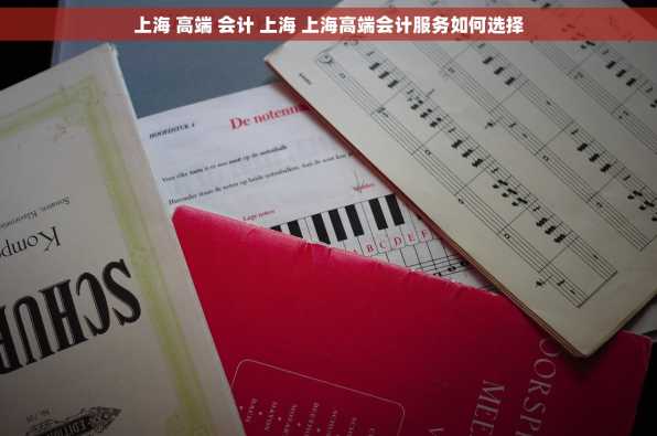 上海 高端 会计 上海 上海高端会计服务如何选择