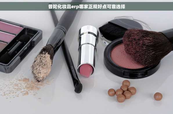普陀化妆品erp哪家正规好点可靠选择