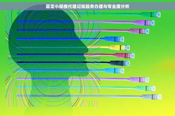 嘉定小规模代理记账服务办理与专业度分析