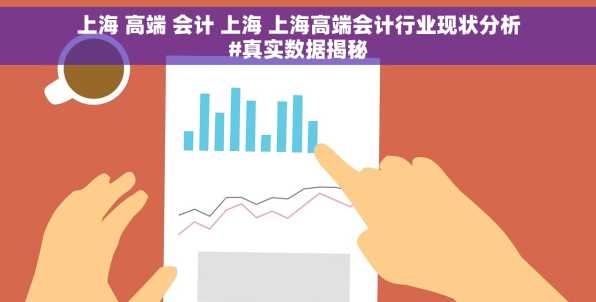 上海 高端 会计 上海 上海高端会计行业现状分析#真实数据揭秘