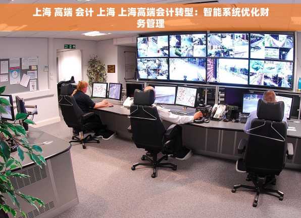 上海 高端 会计 上海 上海高端会计转型：智能系统优化财务管理
