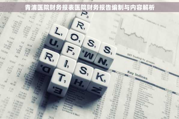 青浦医院财务报表医院财务报告编制与内容解析