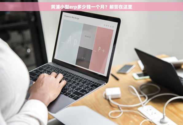 黄浦小型erp多少钱一个月？解答在这里