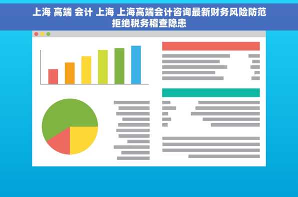 上海 高端 会计 上海 上海高端会计咨询最新财务风险防范拒绝税务稽查隐患