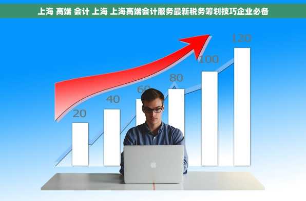 上海 高端 会计 上海 上海高端会计服务最新税务筹划技巧企业必备