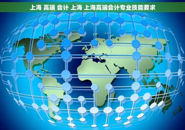 上海 高端 会计 上海 上海高端会计专业技能要求