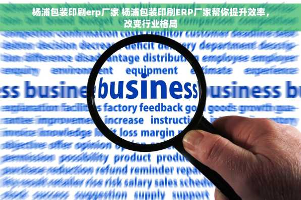杨浦包装印刷erp厂家 杨浦包装印刷ERP厂家帮你提升效率，改变行业格局