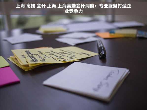 上海 高端 会计 上海 上海高端会计洞察：专业服务打造企业竞争力