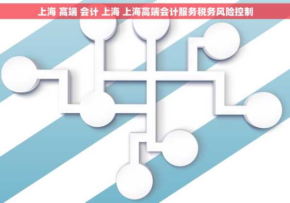 上海 高端 会计 上海 上海高端会计服务税务风险控制