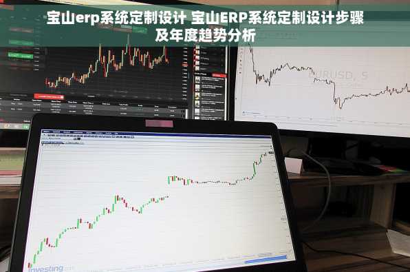宝山erp系统定制设计 宝山ERP系统定制设计步骤及年度趋势分析