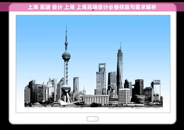 上海 高端 会计 上海 上海高端会计必备技能与需求解析