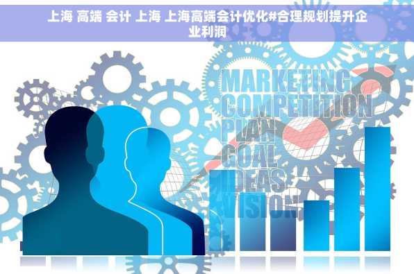 上海 高端 会计 上海 上海高端会计优化#合理规划提升企业利润