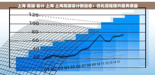 上海 高端 会计 上海 上海高端会计新动态：优化流程提升服务质量