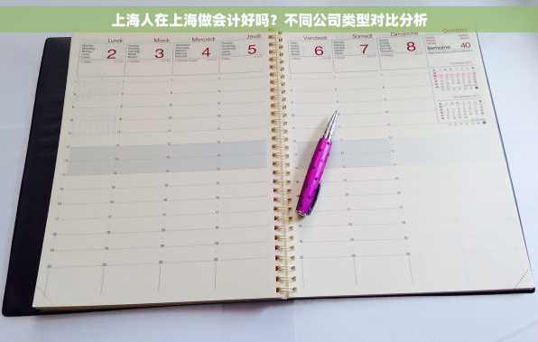 上海人在上海做会计好吗？不同公司类型对比分析