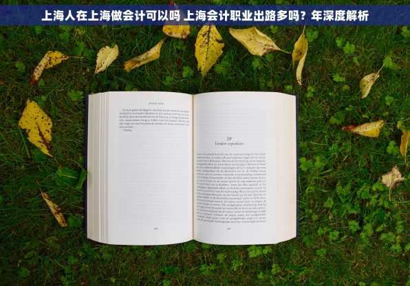 上海人在上海做会计可以吗 上海会计职业出路多吗？年深度解析