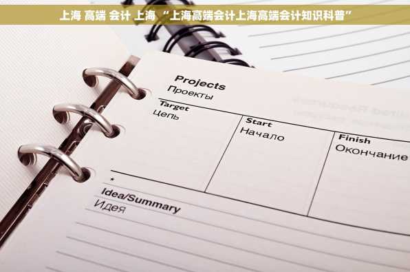上海 高端 会计 上海 “上海高端会计上海高端会计知识科普”
