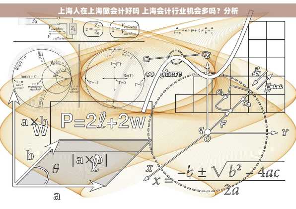 上海人在上海做会计好吗 上海会计行业机会多吗？分析