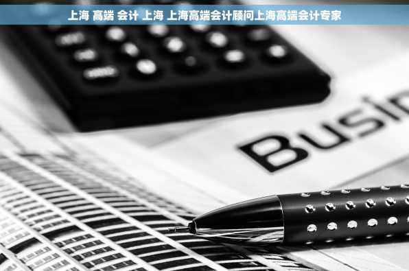 上海 高端 会计 上海 上海高端会计顾问上海高端会计专家