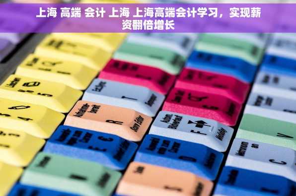 上海 高端 会计 上海 上海高端会计学习，实现薪资翻倍增长