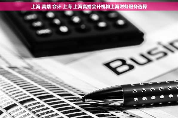 上海 高端 会计 上海 上海高端会计机构上海财务服务选择