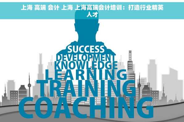 上海 高端 会计 上海 上海高端会计培训：打造行业精英人才