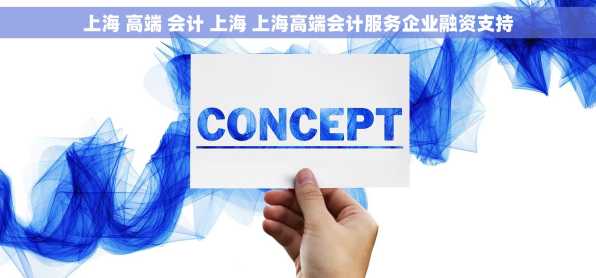 上海 高端 会计 上海 上海高端会计服务企业融资支持