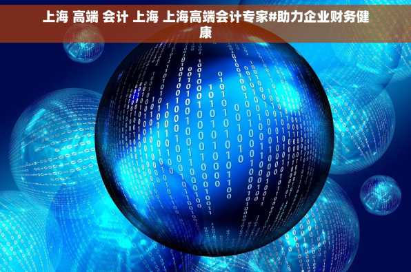 上海 高端 会计 上海 上海高端会计专家#助力企业财务健康
