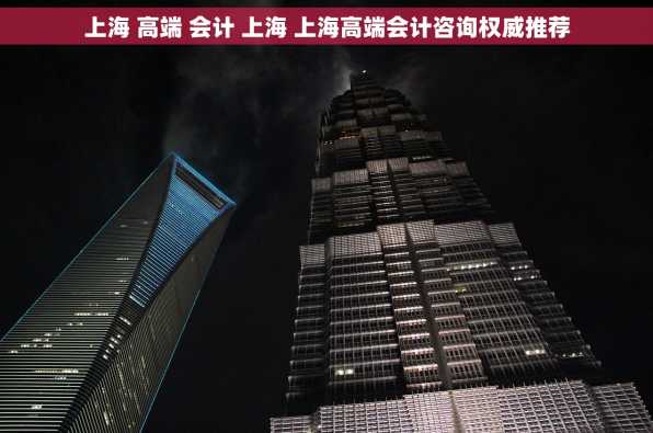 上海 高端 会计 上海 上海高端会计咨询权威推荐