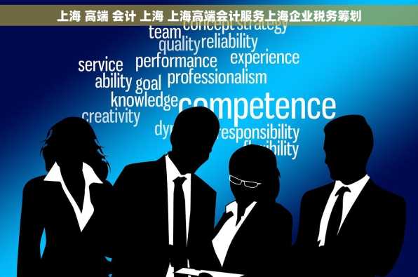 上海 高端 会计 上海 上海高端会计服务上海企业税务筹划